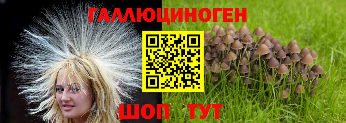Мичуринск  Псилоцибиновые грибы Psilocybine cubensis  даркнет сайт  Вход с VPN 